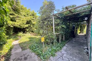 Side Garden- click for photo gallery